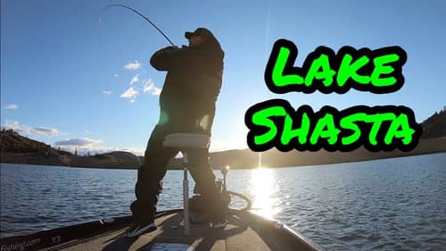 Fall Fishing Lake Shasta with the Oroville Bass Masters Club