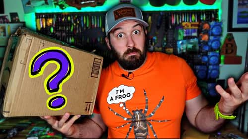 $100 Local Tackle Shop Unboxing!  Plus INSANE CUSTOM LURES!