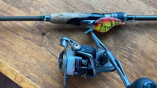 Why You Should Always Use A Spinning Rod For Your March Crankbait Fishing