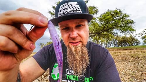 The BEST Soft Plastic Bait | Catch MORE FISH this Spring
