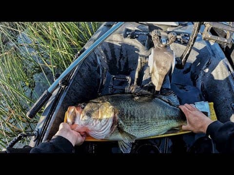 Top 50 Biggest Bass from the kayak