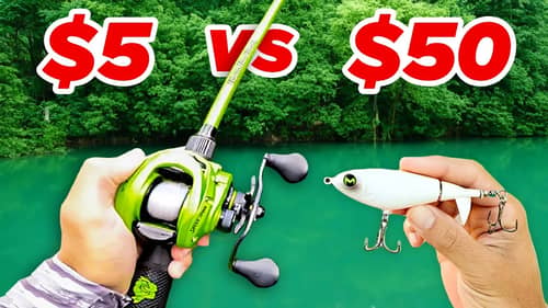 $5 vs $50 Budget Fishing Challenge (Walmart)