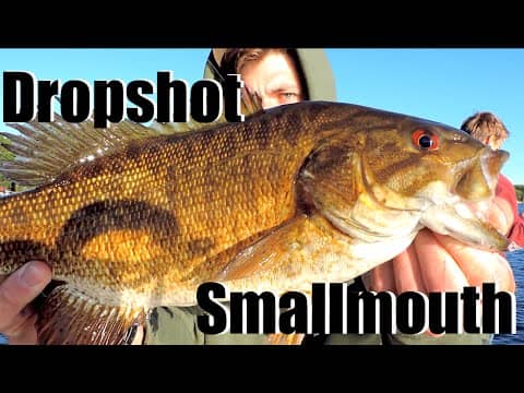Sight Fishing Smallmouth Bass (Part 1)