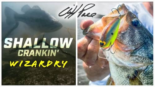 Catch More Bass with Shallow Crankbaits | Cliff Pace Hammerfest‼️