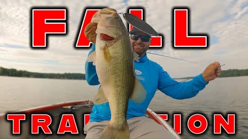 Where Do Bass Go During The Fall Transition? ( And How To Catch Them )
