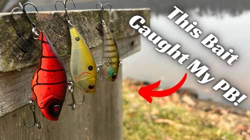 These are The Two Biggest Factors In Choosing The Correct Lipless Crankbait!