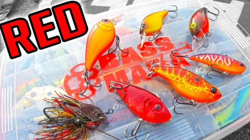 WHY is RED the Hottest Color in Bass Fishing? (EXPLAINED)