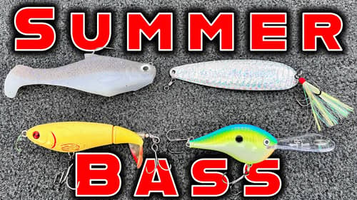 Best Baits For Summer Bass Fishing! (Shallow And Deep)