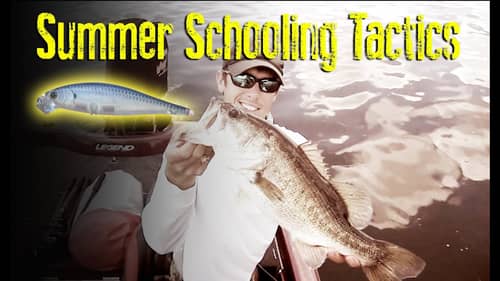 Fishing Tips for Summer Schooling Bass
