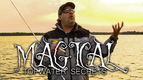 MAGICAL Bass Fishing SECRETS & Topwater Tips - Mark Zona