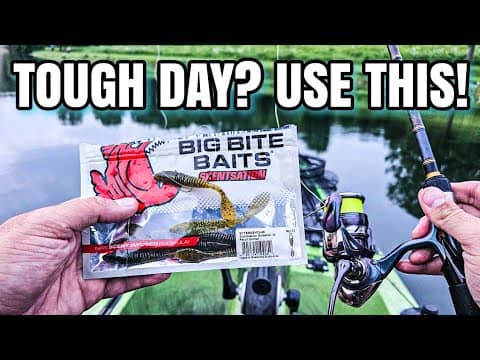 Summer Bass LOVED This Rig! (EASY to Use!)