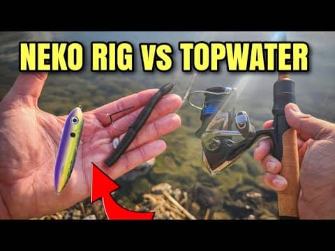Neko Rig vs Topwater | Bank Fishing (Try These NOW)