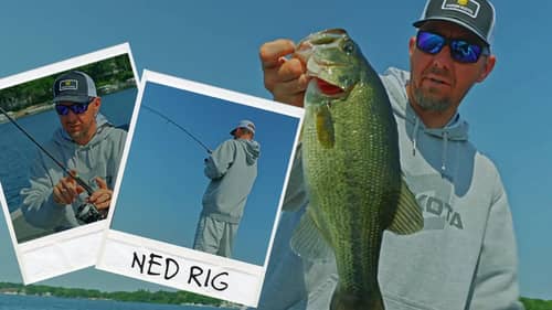 ESSENTIAL Ned Rig Bass Fishing Tips (How to Fish this Popular Finesse Technique)