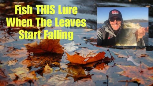 The Lure That Outproduces ALL Others Once The Leaves Start Falling