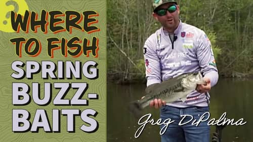 EXPLOSIVE Spring Buzzbait Bass Fishing (Fish Topwater Lures Over Shoreline Cover) [Pre-Spawn Tips]