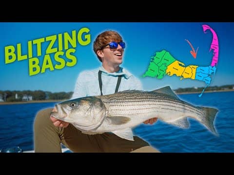 Big Bass in SHALLOW Water (We FINALLY Found Them)