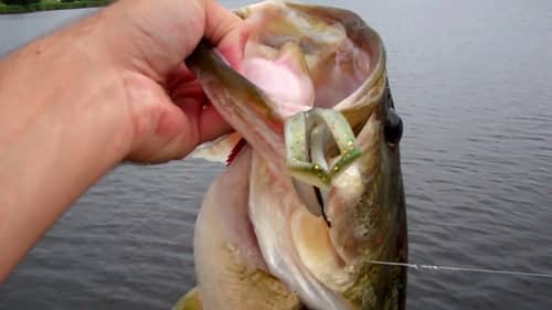 Topwater Blowups Series 3. Ribbit Frog Bass Fishing