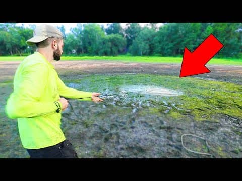 Rescuing BIG Fish With A CAST NET (Surprising!)