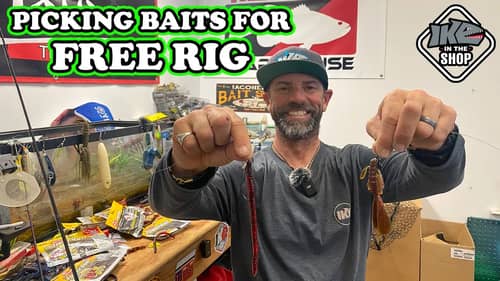 Master the Free Rig Technique: Selecting the Perfect Baits for Maximum Action!
