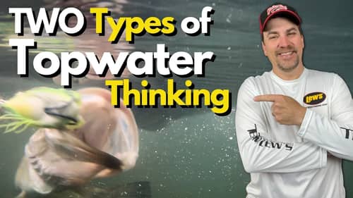 Maximizing Topwater Tactics - Underwater Footage