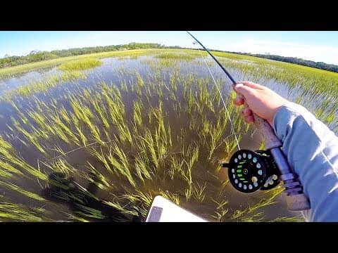 Fishing a FLOODED Saltwater Field! (My Bucketlist Catch)