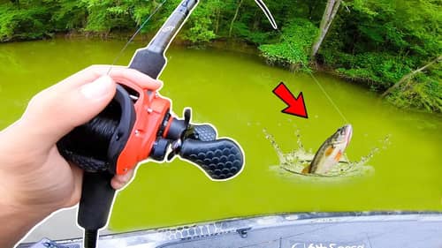 Will this WIN us the Fishing Tournament?! (HIGH STAKES)