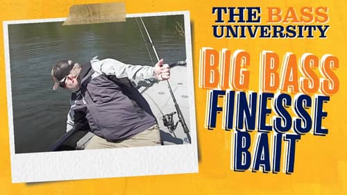 BIG Bass SLAMS Finesse Fishing Lure