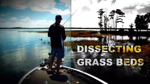 Choose the Right Hook When Fishing Heavy Grass