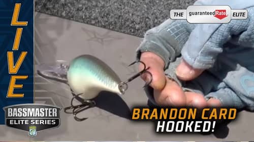 Brandon Card in a sticky situation on Fork (Hooked in the Hand!)