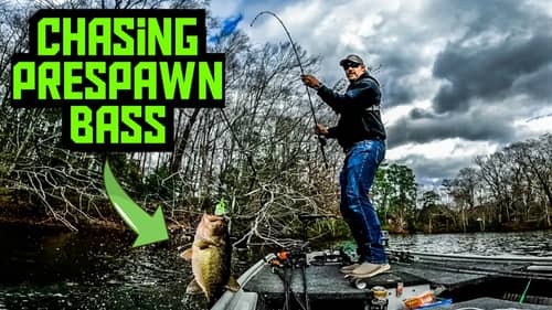 Chasing PRESPAWN Bass on a FLOODED LAKE!!! || Spring Fishing