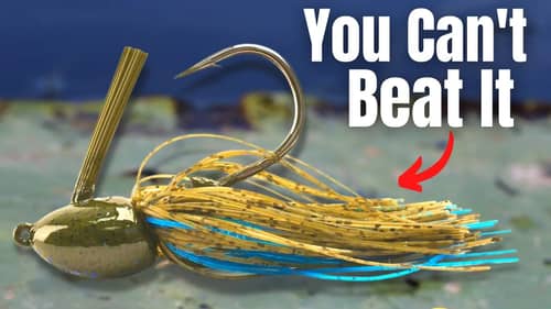 The #1 LURE To Catch Bass (Jig Fishing 101)
