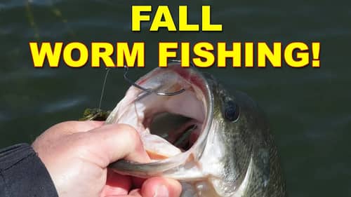 Best Fall Worm Fishing Tips for Bass Fishing (Because These Work!) | How To | Bass Fishing