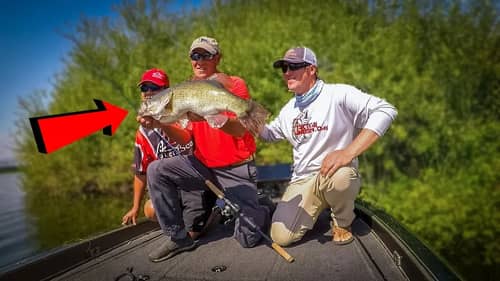 Catching BIG Bass With Larry Dahlberg
