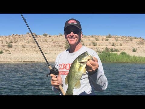 Shallow And Deep Summer Grass Fishing Techniques