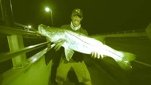 Fishing at Night for Giant Snook - I Caught My PB!