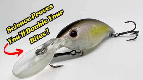 Science Proves You Will Double The Fish You Catch With This Fishing Lure Tip!