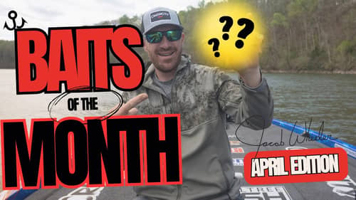 TOP BAITS of the MONTH - April 2024 Edition