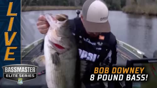 St. Johns River: Bob Downey shakes up the leaderboard with an 8 pounder!