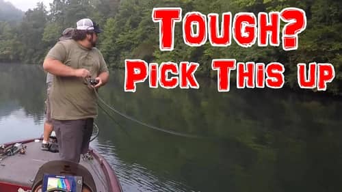 When the Bite Is TOUGH Pick This BAIT UP!