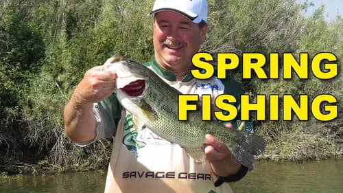Proven Spring Bass Fishing Lures and Tactics | Bass Fishing