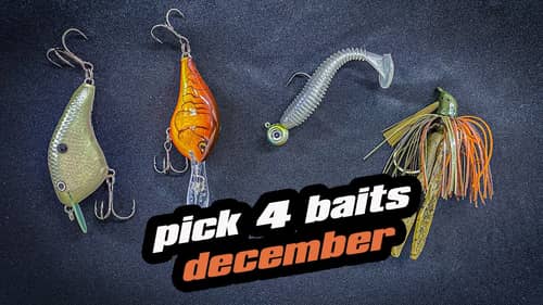 Pick 4 | Baits For December
