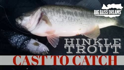 Hinkle Trout Eating Bass Cast to Catch