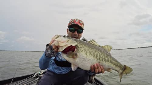 DOUBLE DIGIT  Bass - the ONLY Swimbait you NEED!?!?