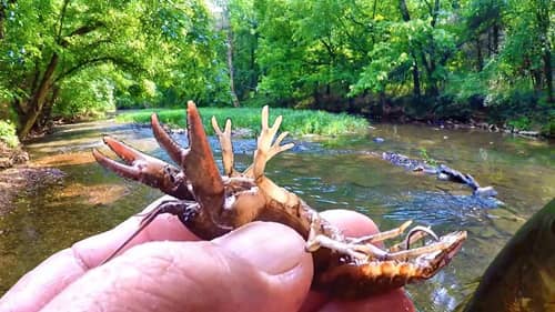 Catching and Fishing With Crawfish In A Creek (AMAZING CATCH!!!)