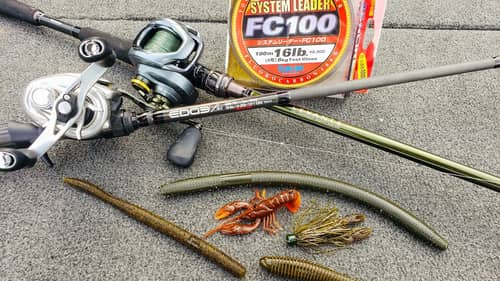 Spring Bass Fishing Buyer's Guide