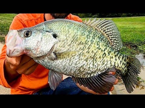 WHY YOU SHOULD FISH before a STORM!! (HUGE CRAPPIE)