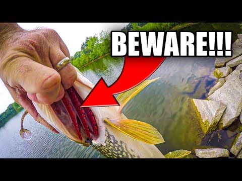 Thunder Cricket Caught SURPRISE Fish (Handle With CARE)