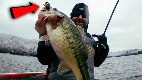 Winter Jig Fishing Tips And Tricks!