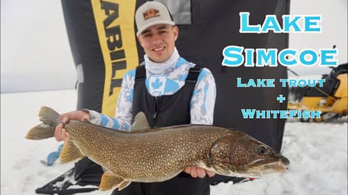 LAKE TROUT & Whitefish Crazy Day!! Double Digit Fish!