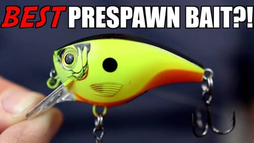 Are Squarebill Crankbaits the BEST Prespawn Bass Fishing Bait?!